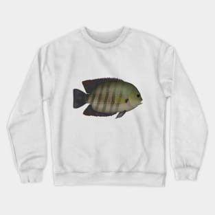 Pearlspot Crewneck Sweatshirt